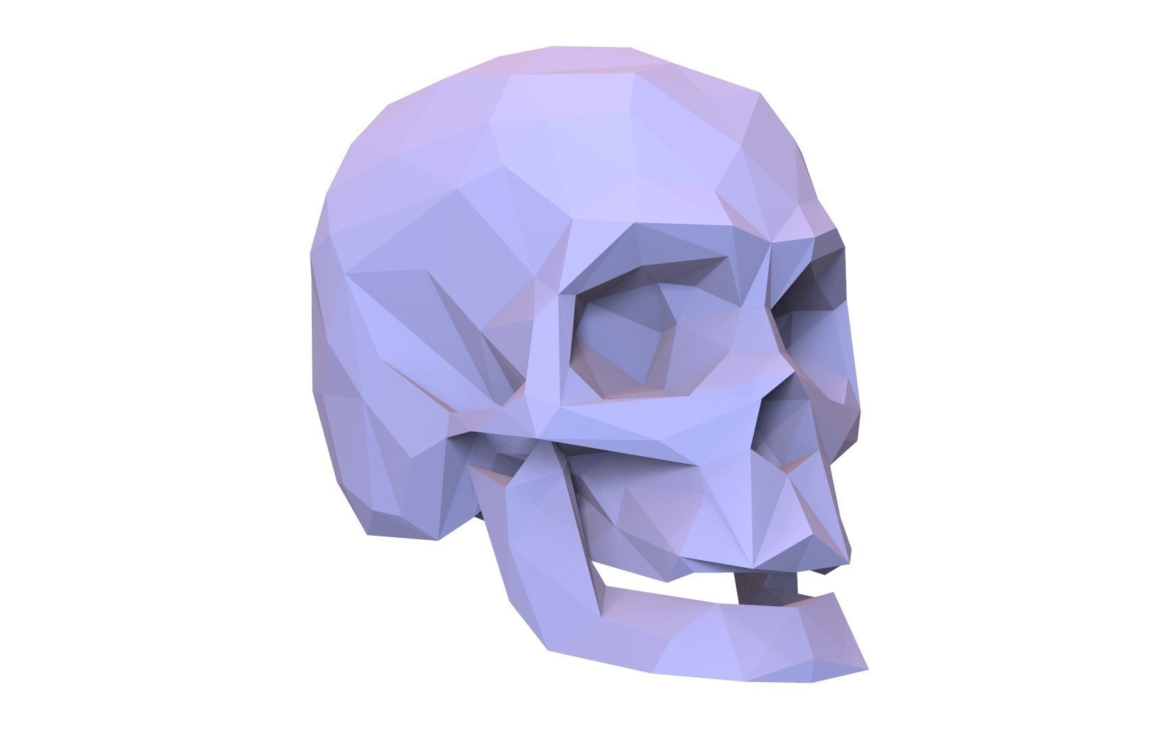 Skull Low Poly Model Human Skull 3d 3D model_6