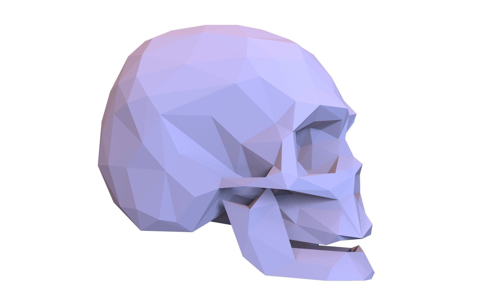 Skull Low Poly Model Human Skull 3d 3D model_7