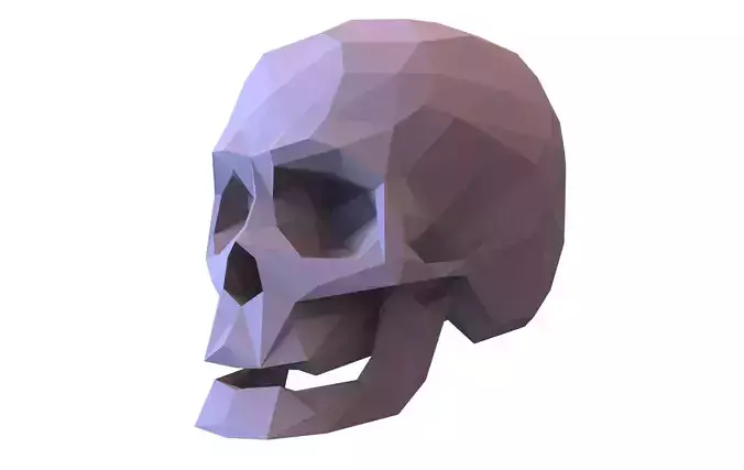 Skull Low Poly Model Human Skull 3d 3D model