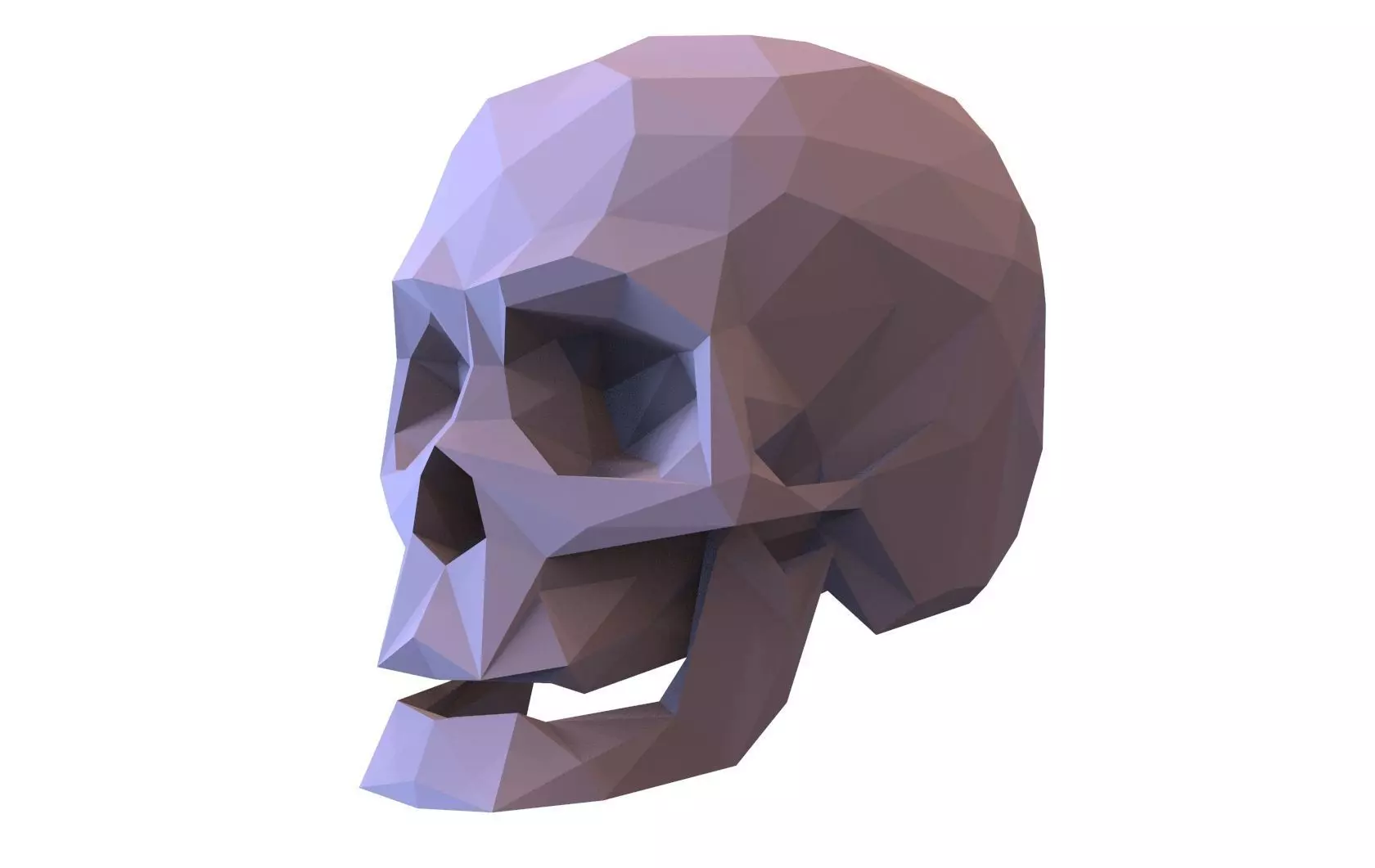 Skull Low Poly Model Human Skull 3d 3D model_0