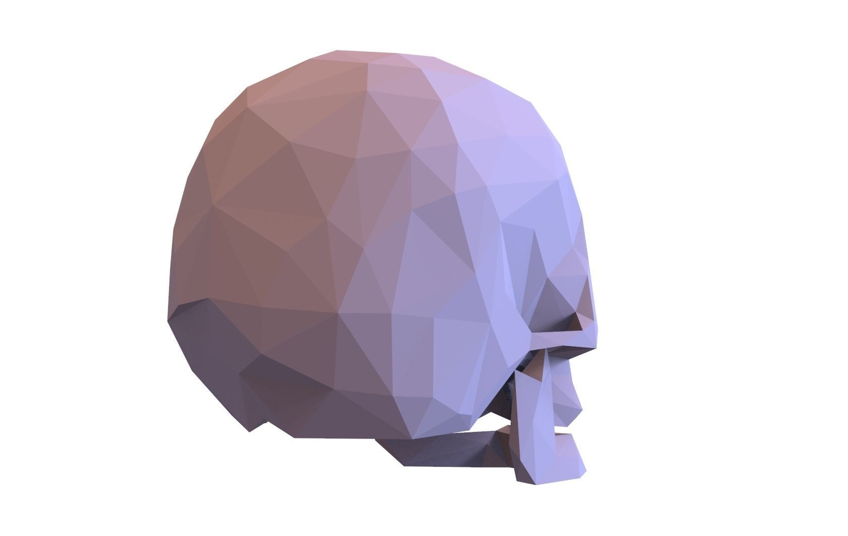 Skull Low Poly Model Human Skull 3d 3D model_9