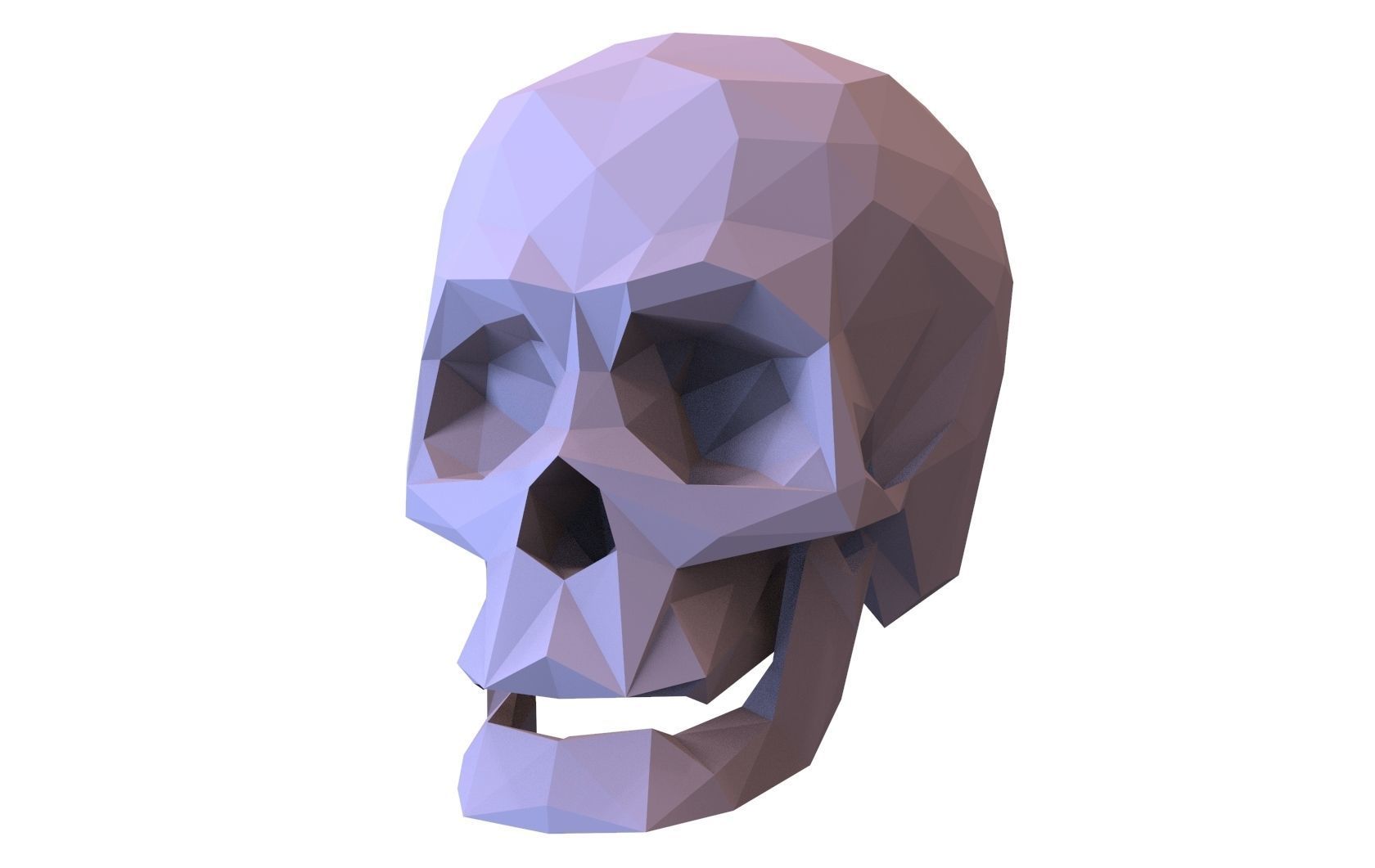 Skull Low Poly Model Human Skull 3d 3D model_4