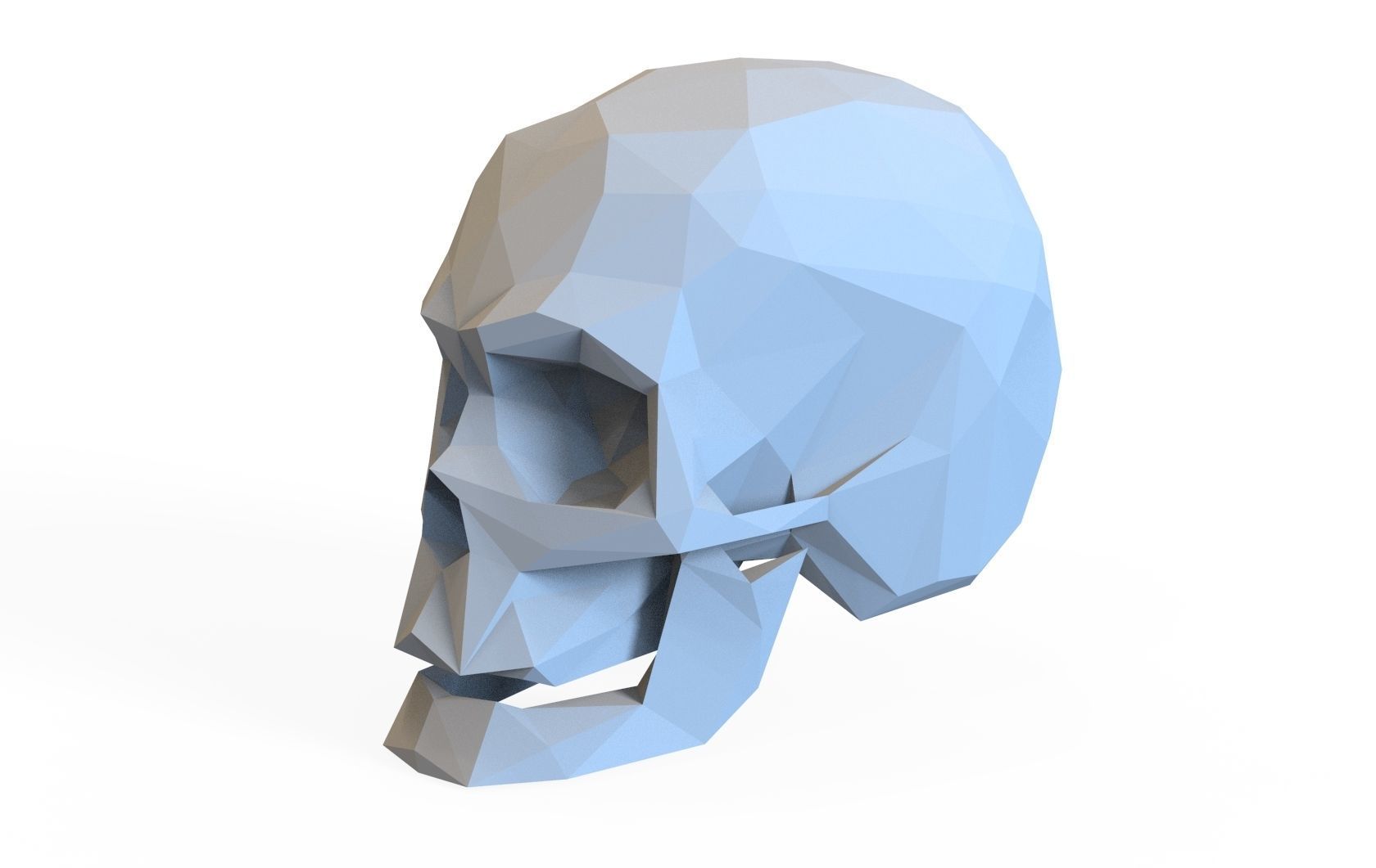 Skull Low Poly Model Human Skull 3d 3D model_1