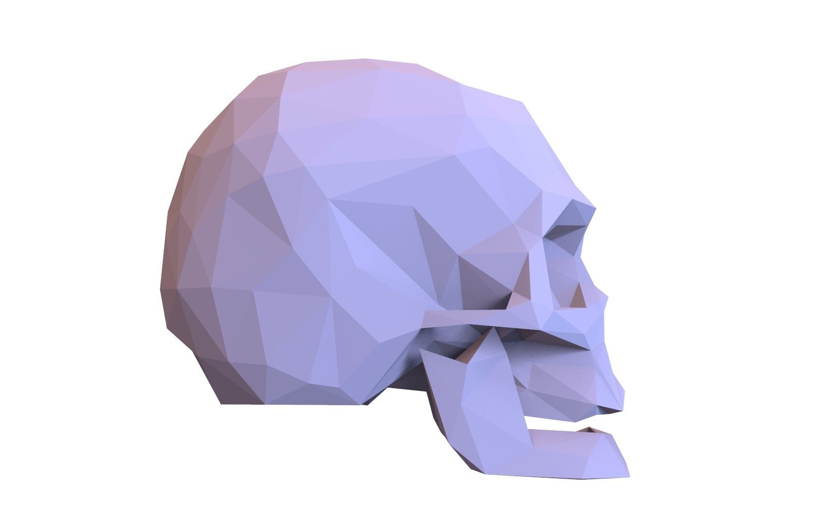 Skull Low Poly Model Human Skull 3d 3D model_8