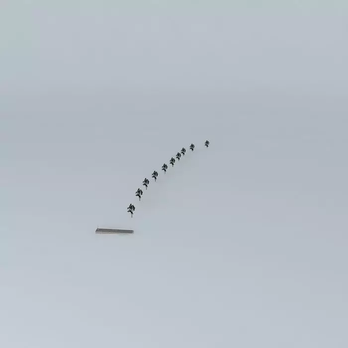 Beach C trees in sky Free 3D model_0