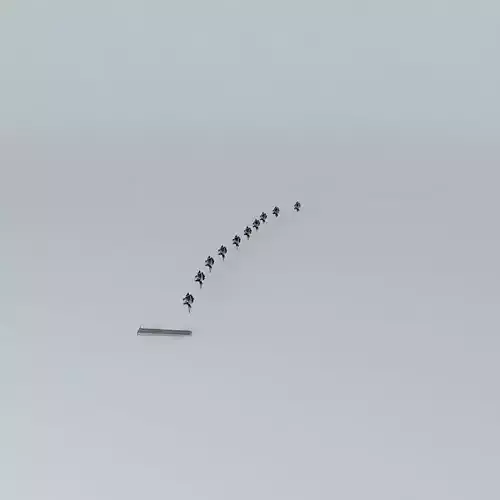 Beach C trees in sky