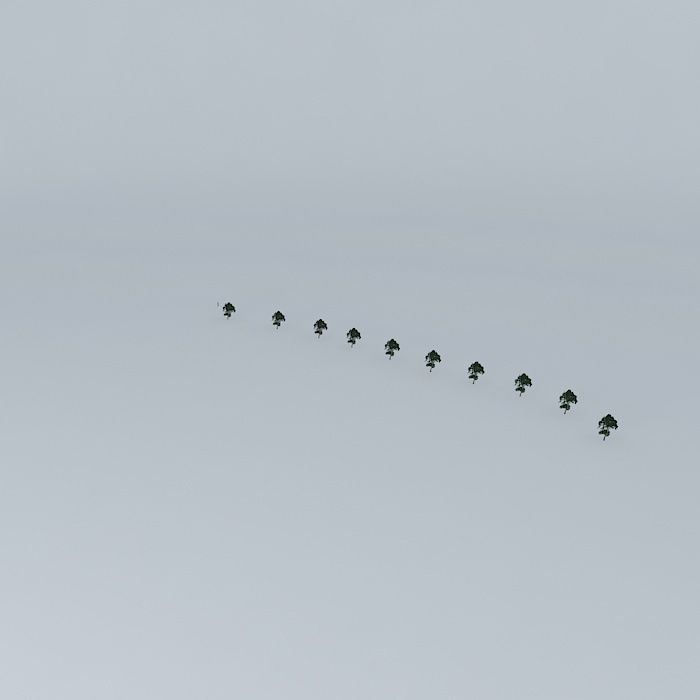 Beach C trees in sky Free 3D model_2
