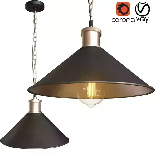 BlackLamp two pendant lights with shade
