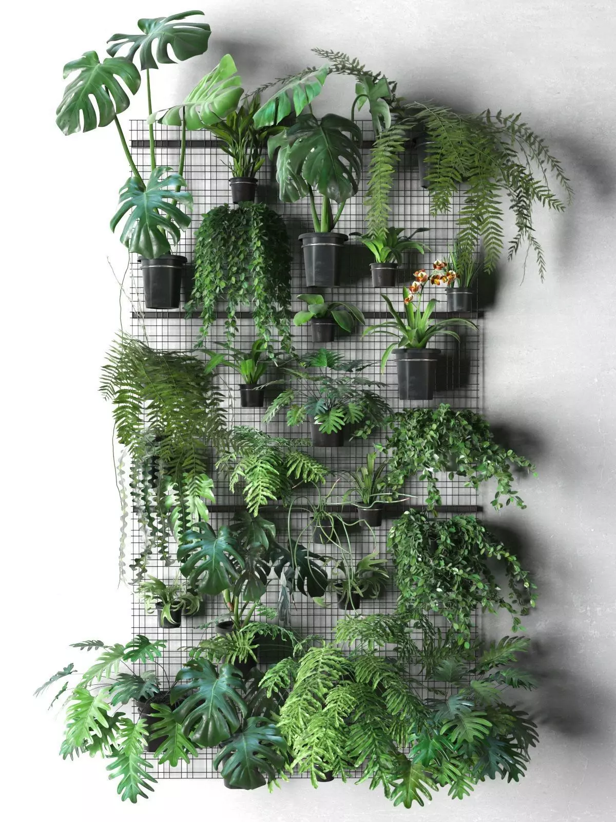 Wall Grid with Pot Plants 3D model_0