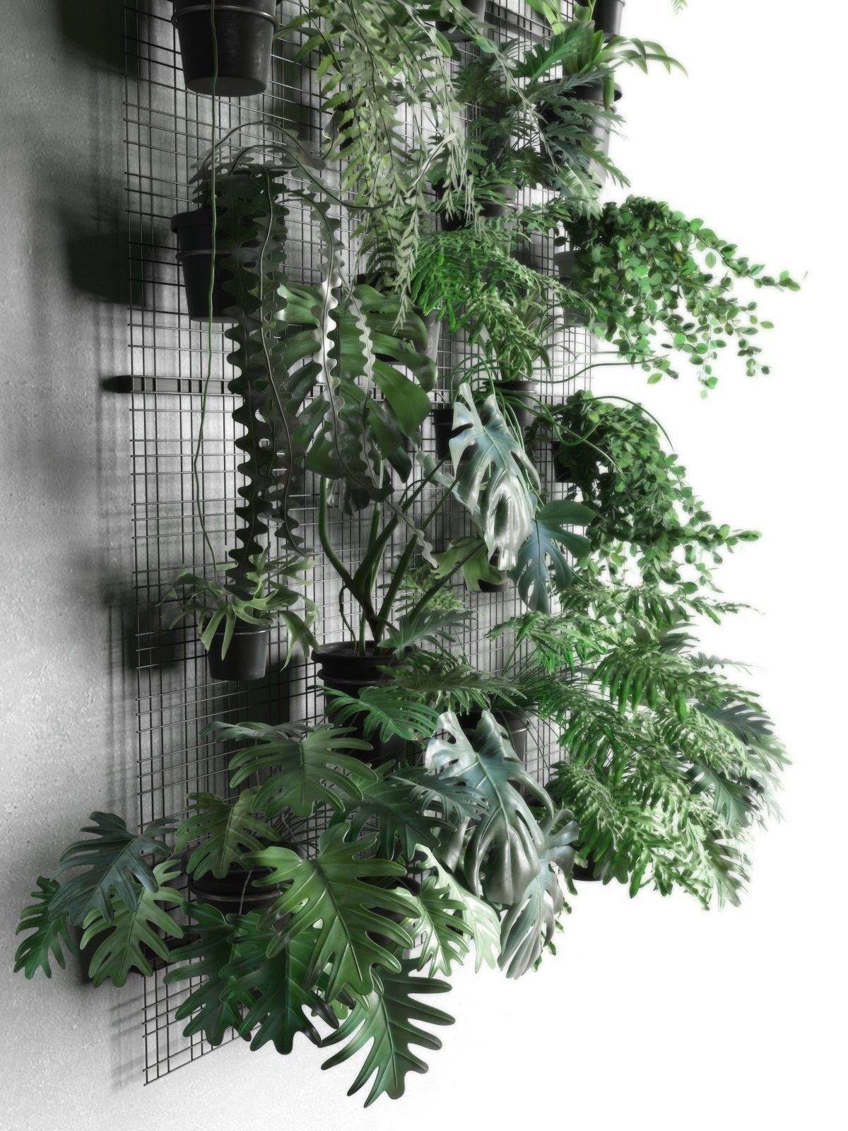 Wall Grid with Pot Plants 3D model_3