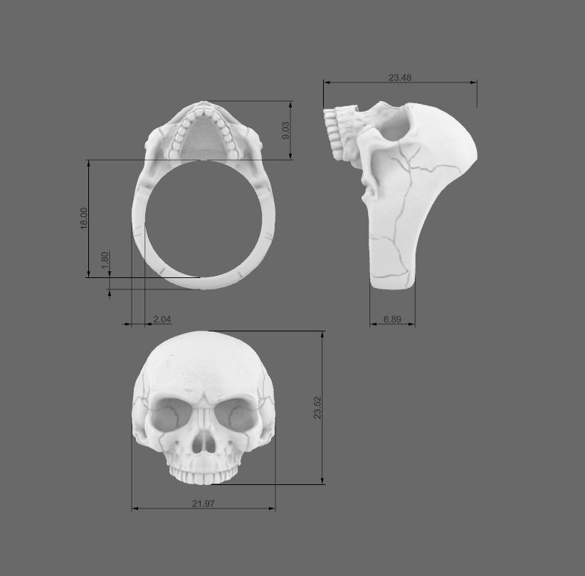 Skulls silver skull ring 3D Model Collection_10