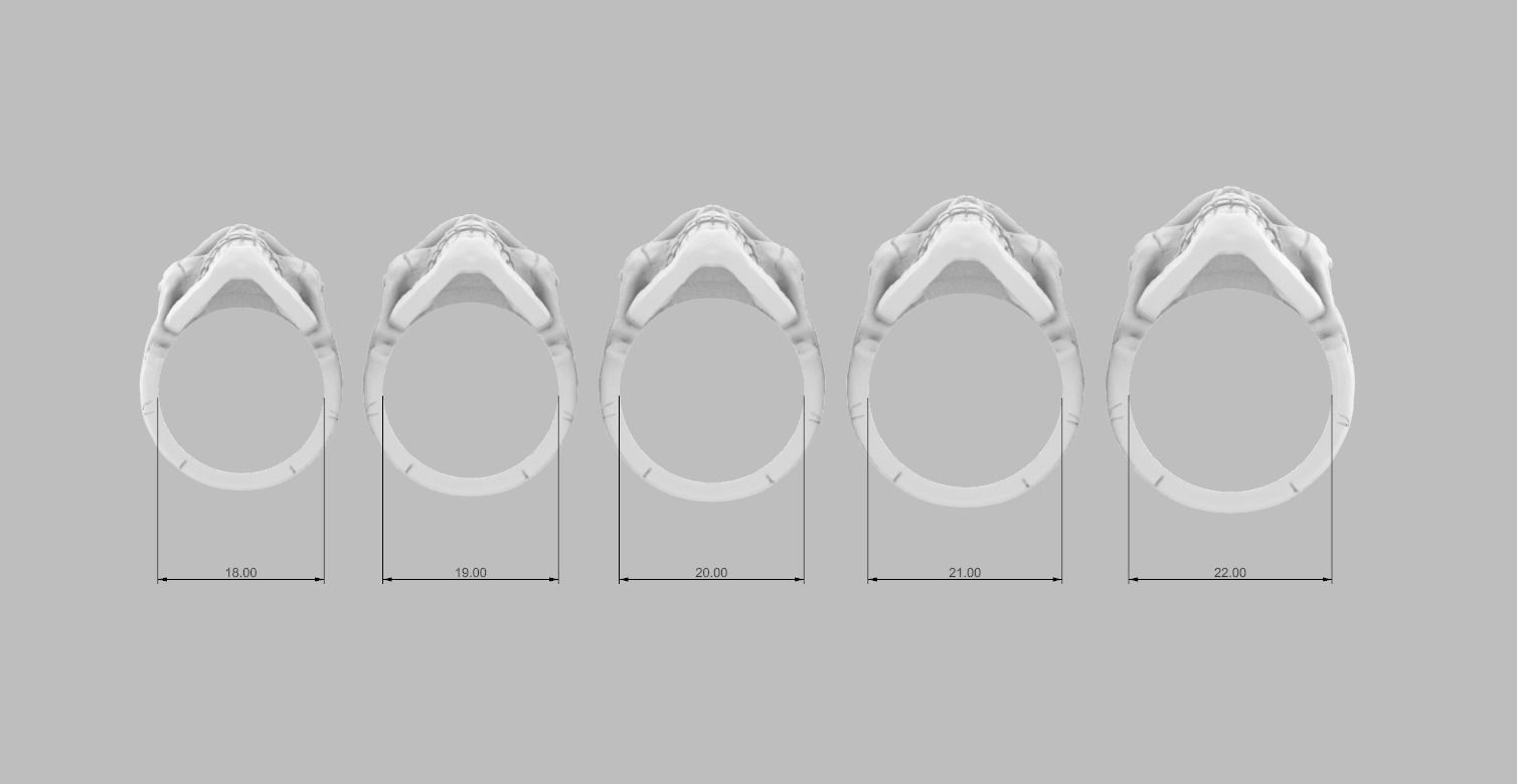 Skulls silver skull ring 3D Model Collection_12