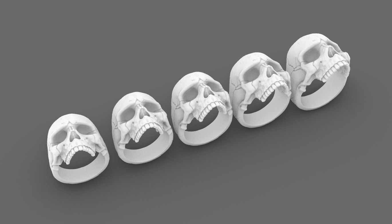 Skulls silver skull ring 3D Model Collection_11