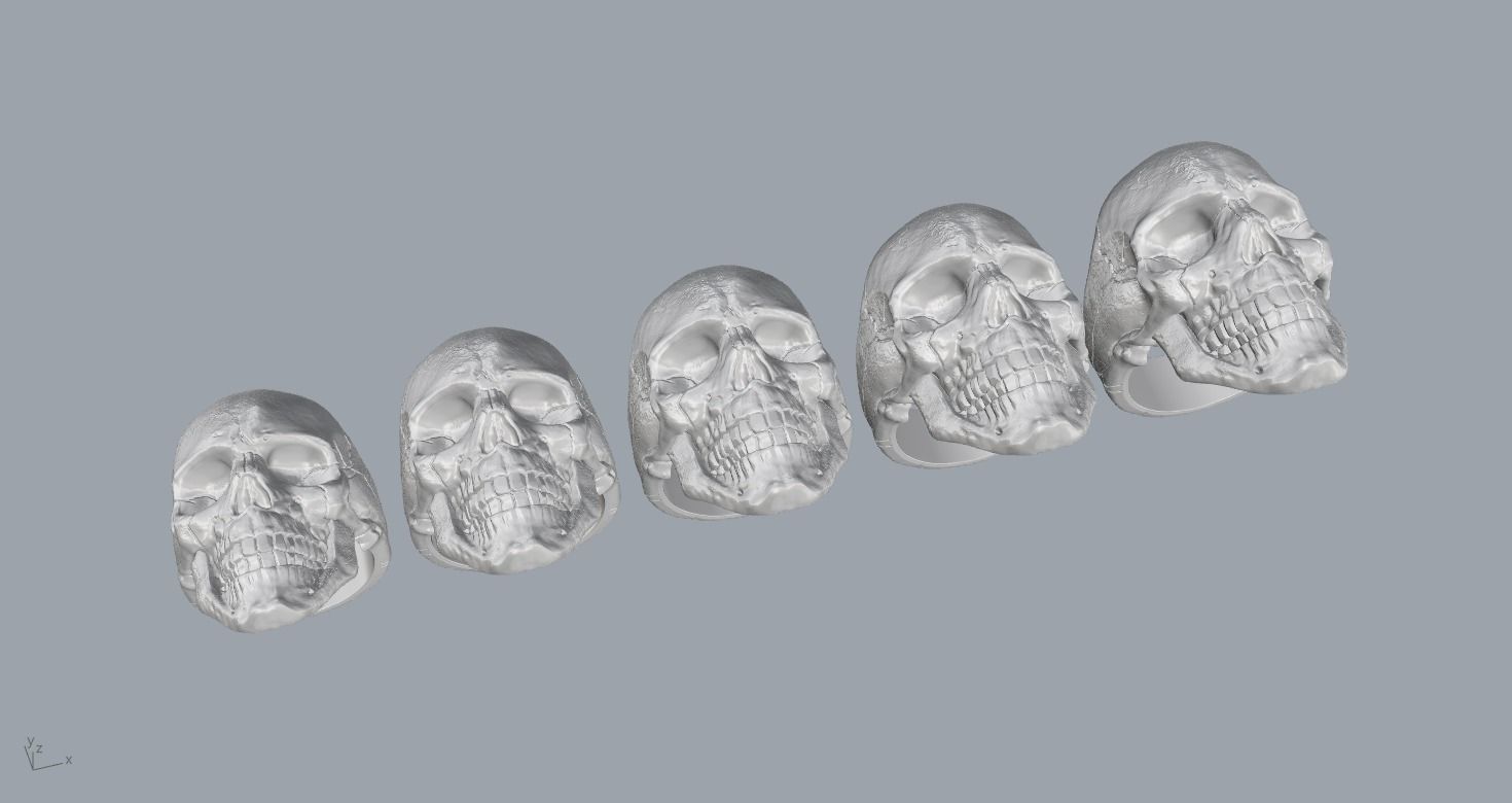 Skulls silver skull ring 3D Model Collection_21