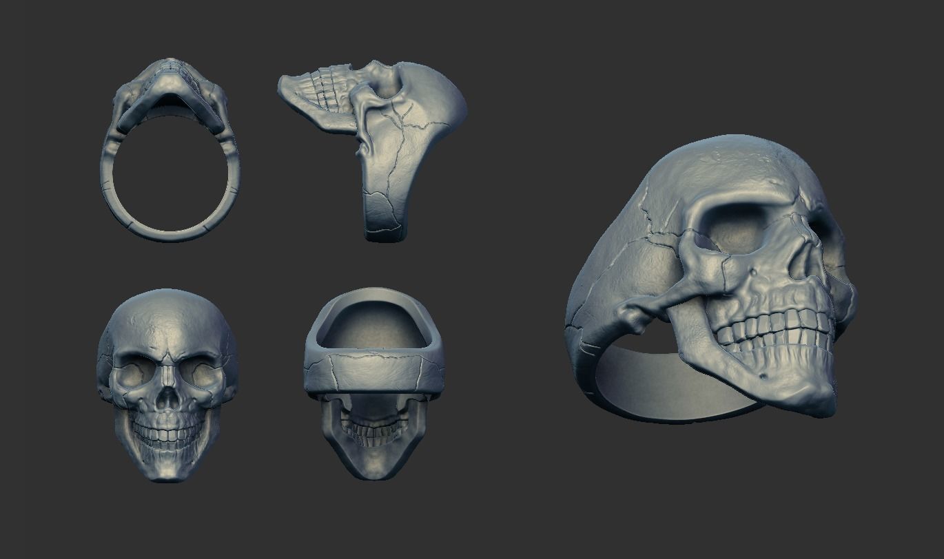 Skulls silver skull ring 3D Model Collection_16