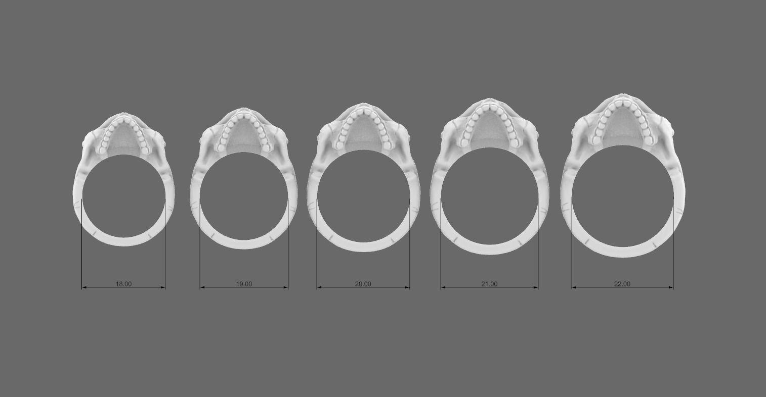 Skulls silver skull ring 3D Model Collection_22