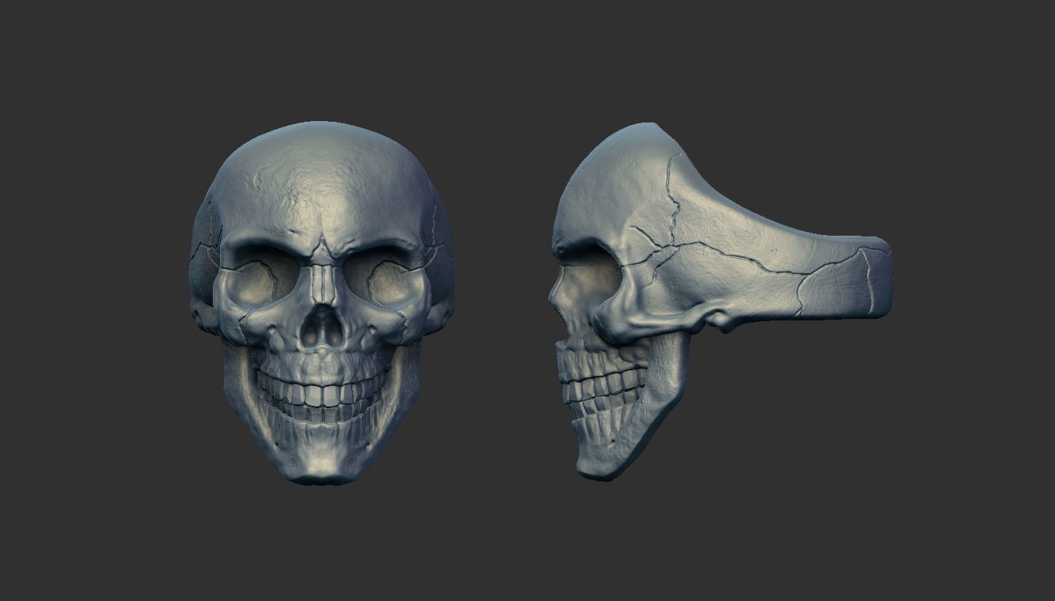 Skulls silver skull ring 3D Model Collection_17