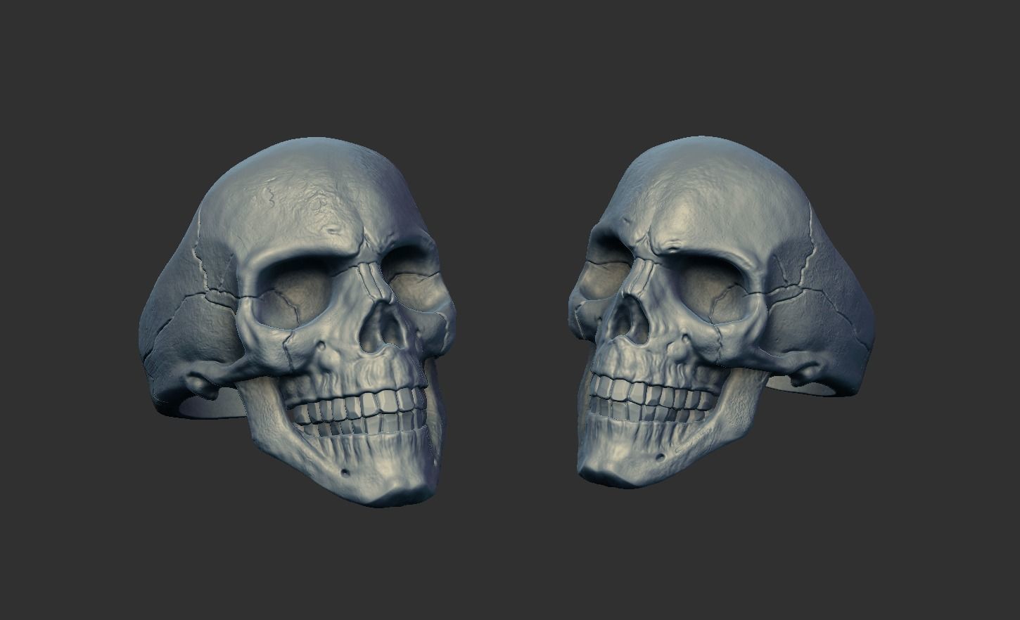 Skulls silver skull ring 3D Model Collection_19