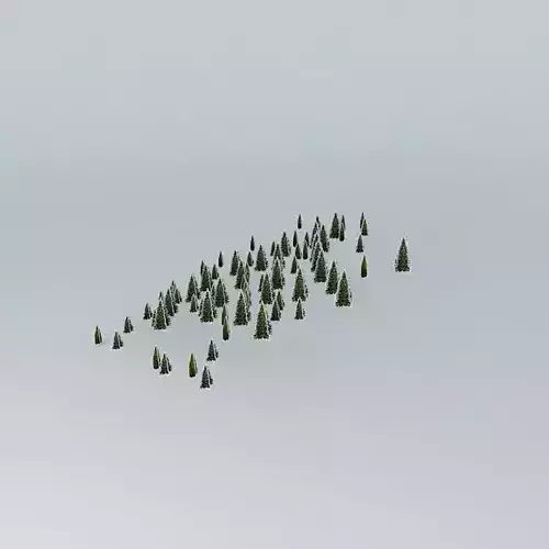 Dasaki 2 fir trees in snow