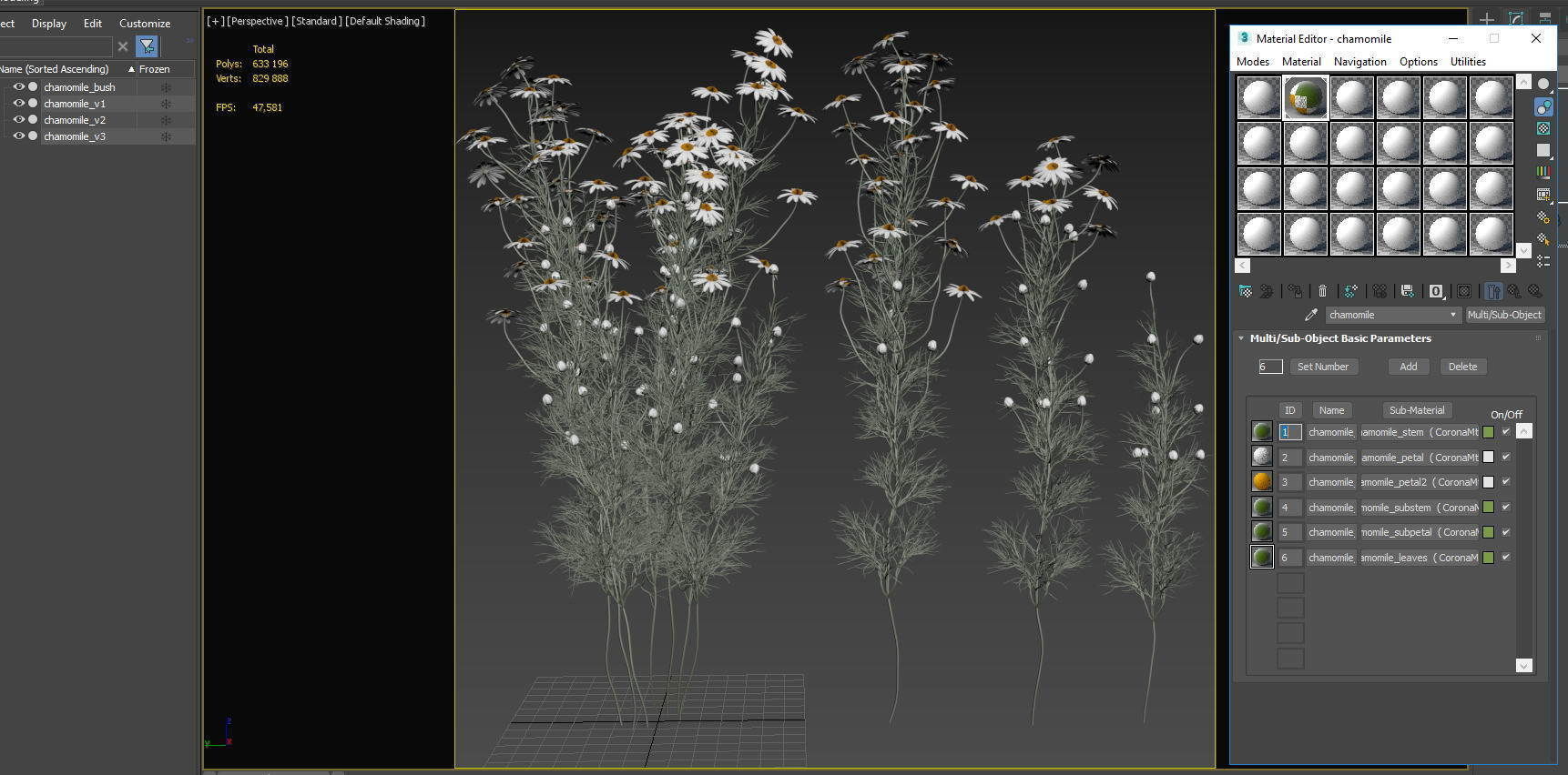 chamomile daisies 3D model_34