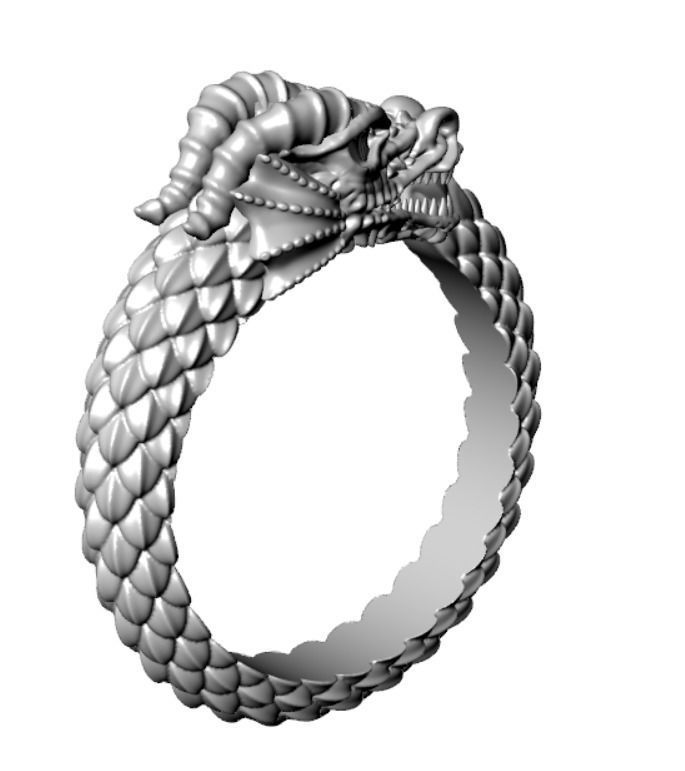 Ring od 66 3D print model_20