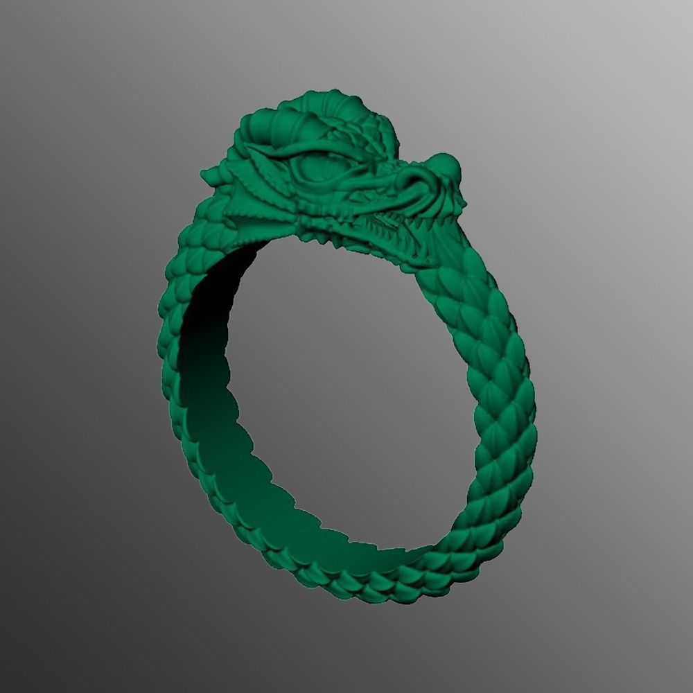 Ring od 66 3D print model_2