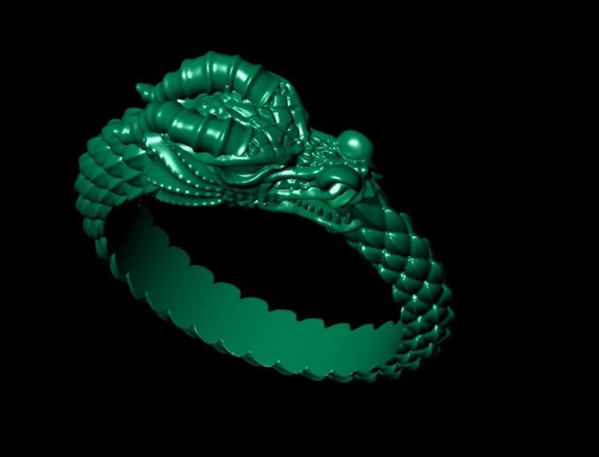 Ring od 66 3D print model_11