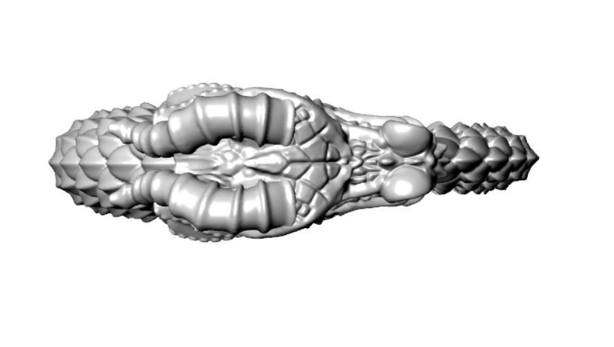 Ring od 66 3D print model_15