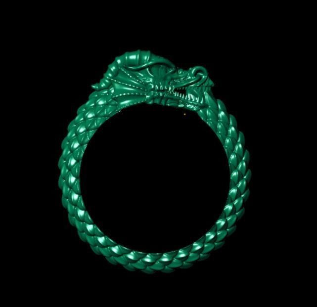 Ring od 66 3D print model_9