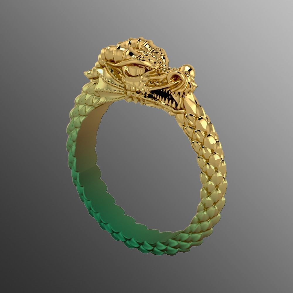 Ring od 66 3D print model_1