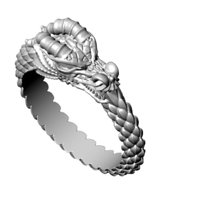 Ring od 66 3D print model_17