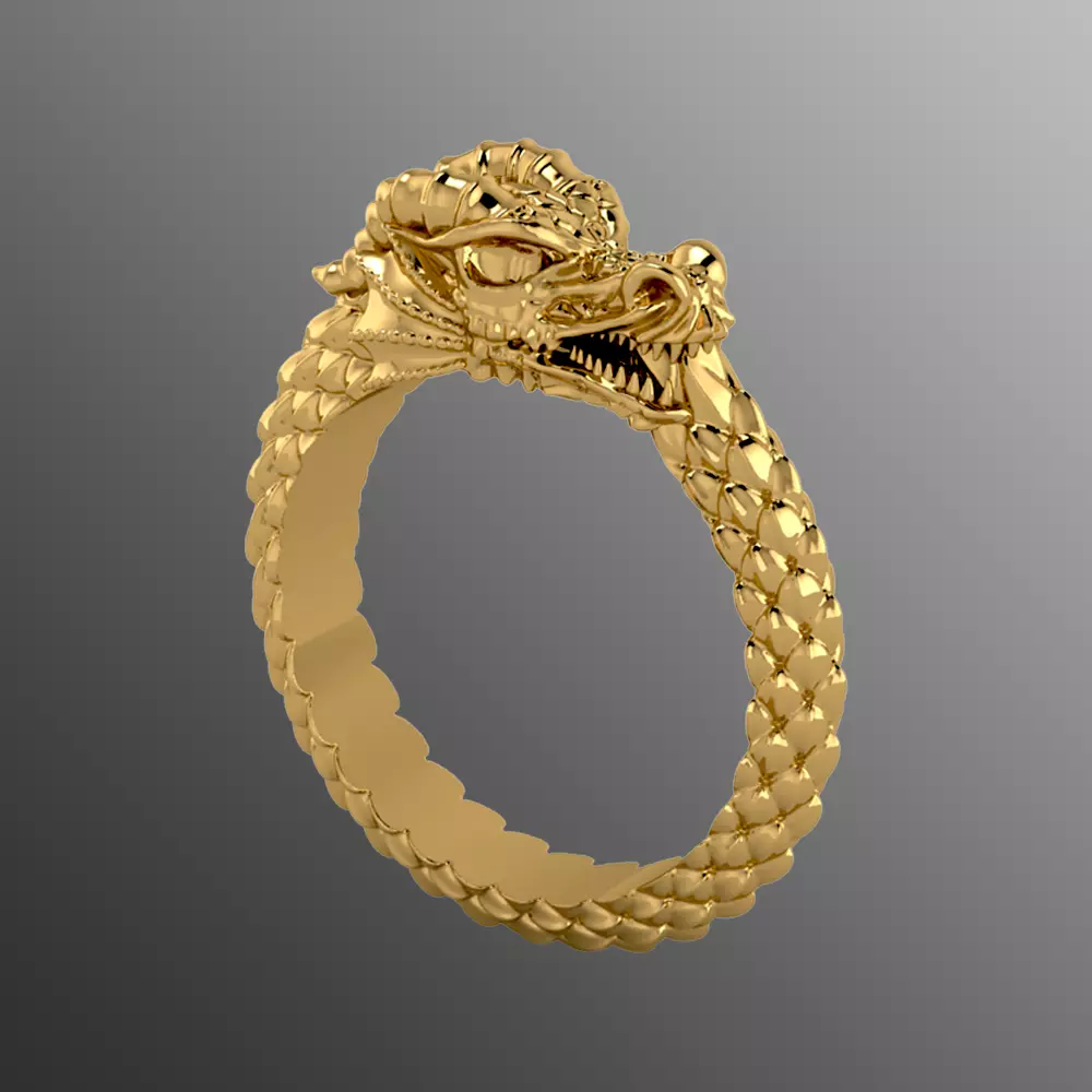 Ring od 66 3D print model_0