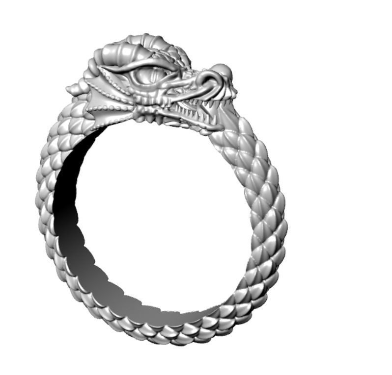 Ring od 66 3D print model_19