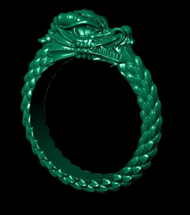 Ring od 66 3D print model_14
