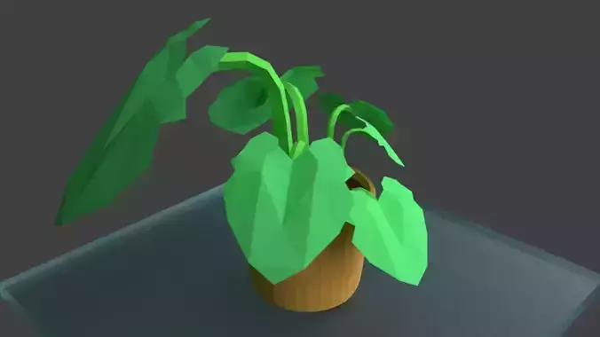 Potted Plant