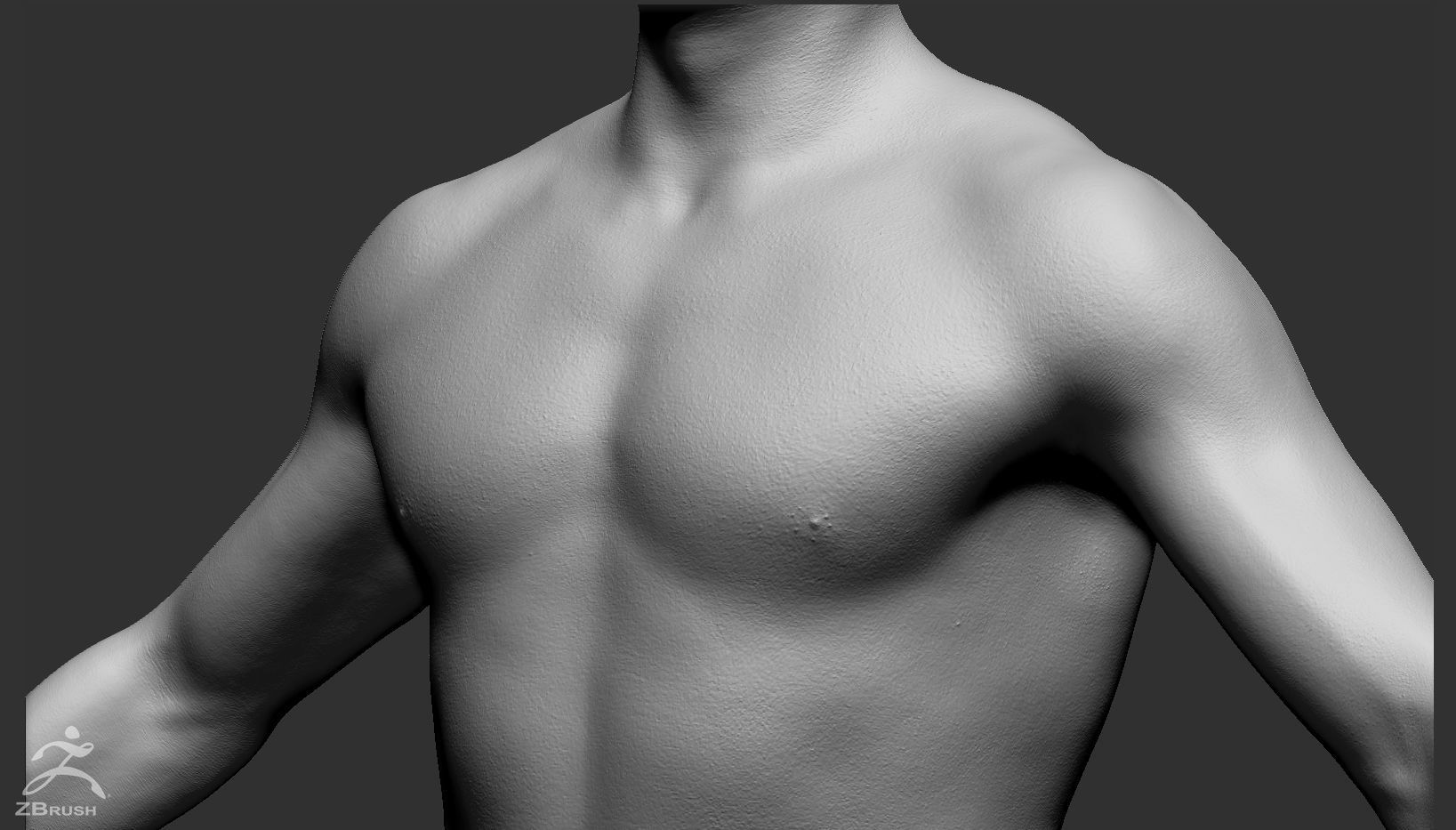 Male Custom Basemesh 3D model_13