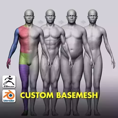 Male Custom Basemesh 3D model