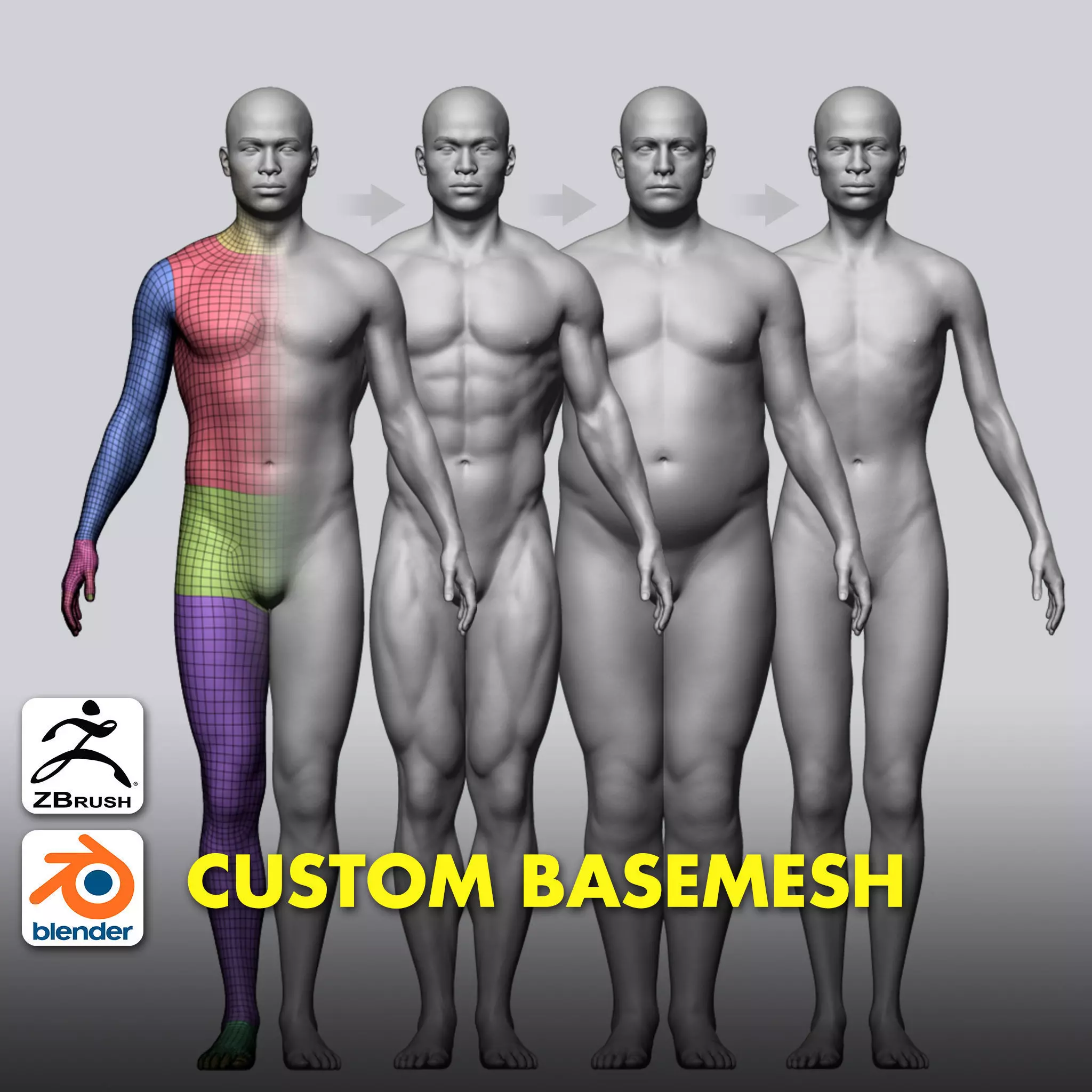 Male Custom Basemesh 3D model_0