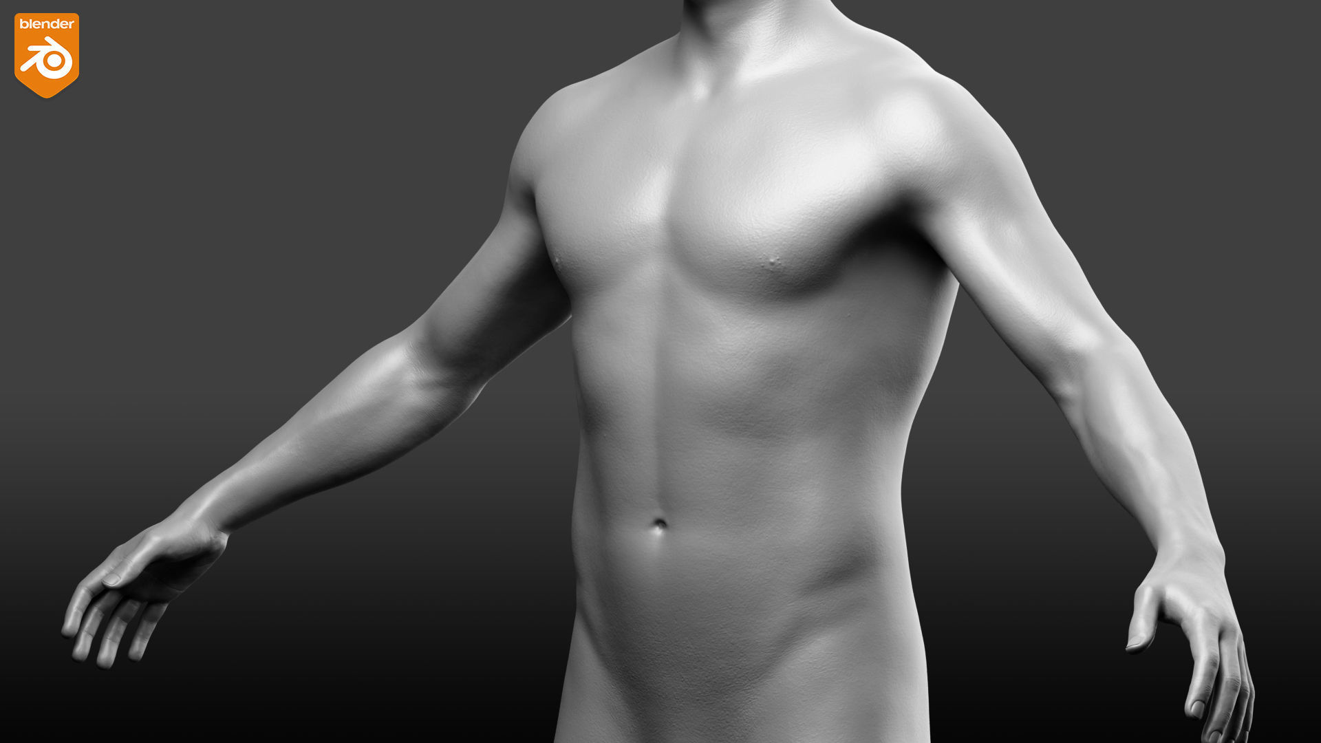 Male Custom Basemesh 3D model_31