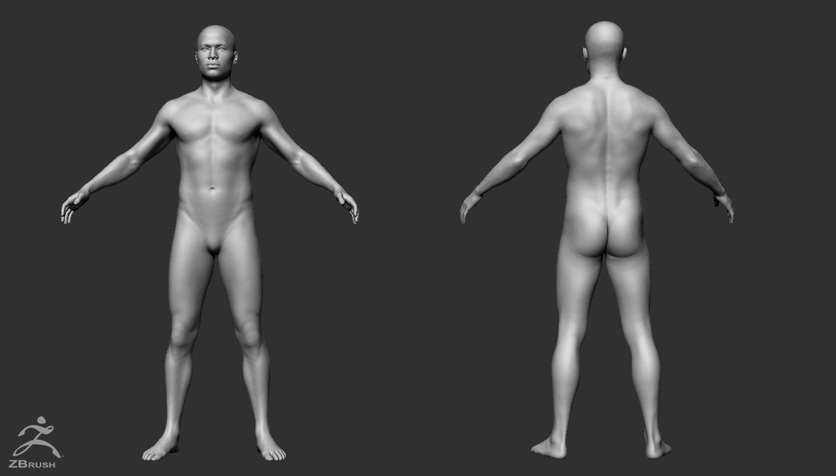 Male Custom Basemesh 3D model_10