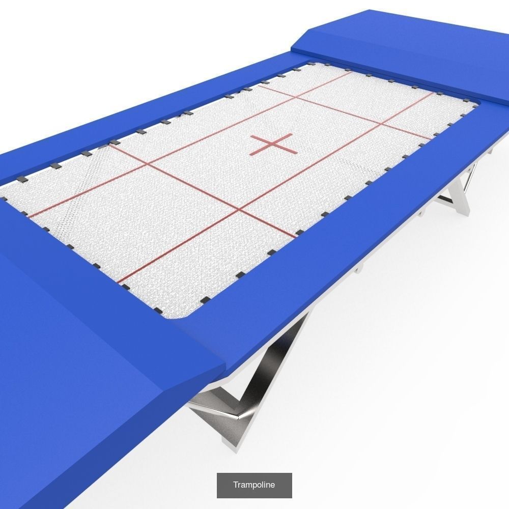 Sports Collection pool table with cues and balls _9