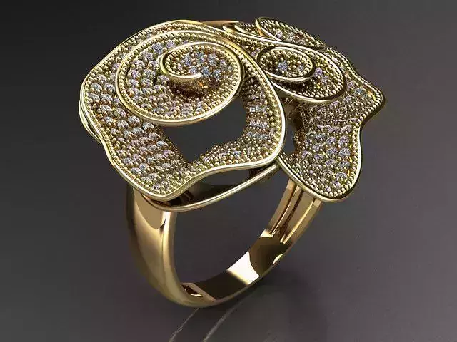 Fancy Ring