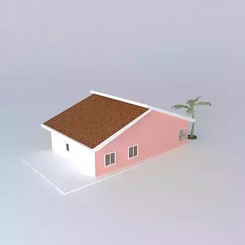 House with wide and ventilated roof