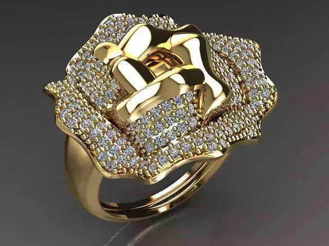 Fancy Ring