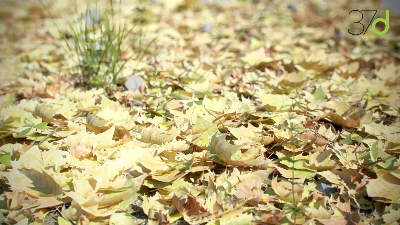 Photorealistic Leaves - Volume 1 3D model_0