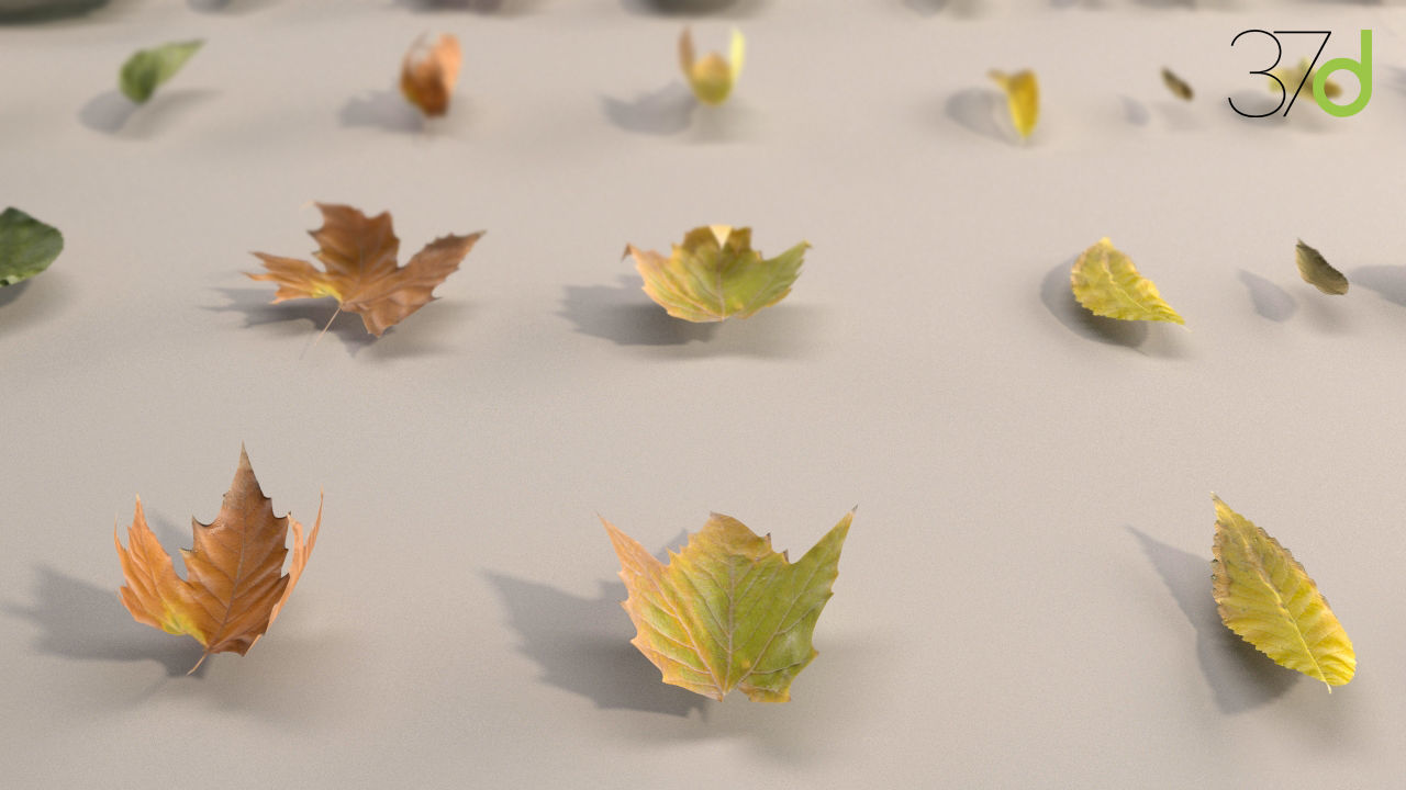Photorealistic Leaves - Volume 1 3D model_4