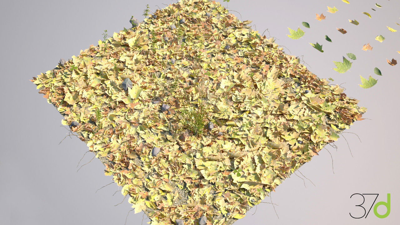 Photorealistic Leaves - Volume 1 3D model_1