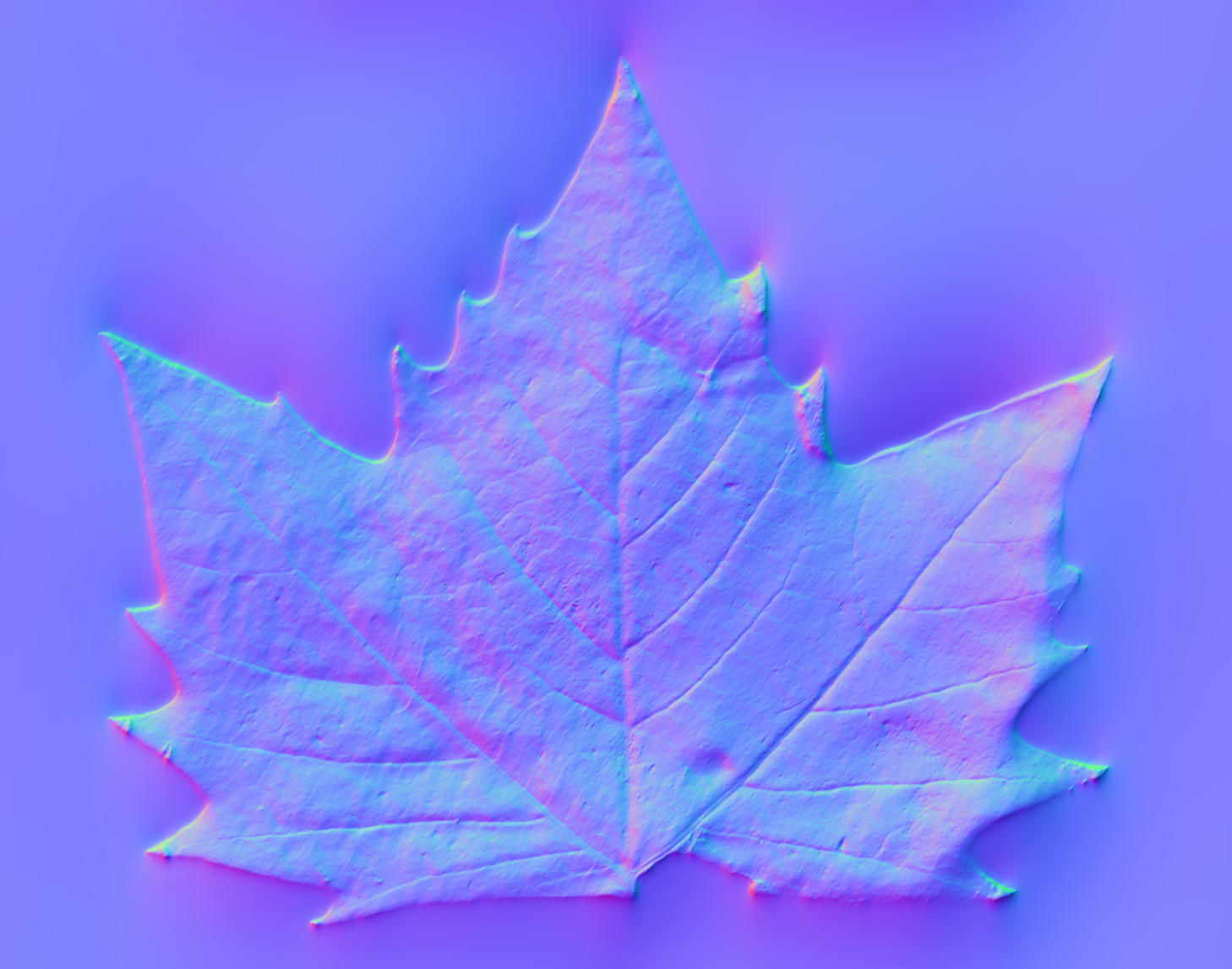 Photorealistic Leaves - Volume 1 3D model_8