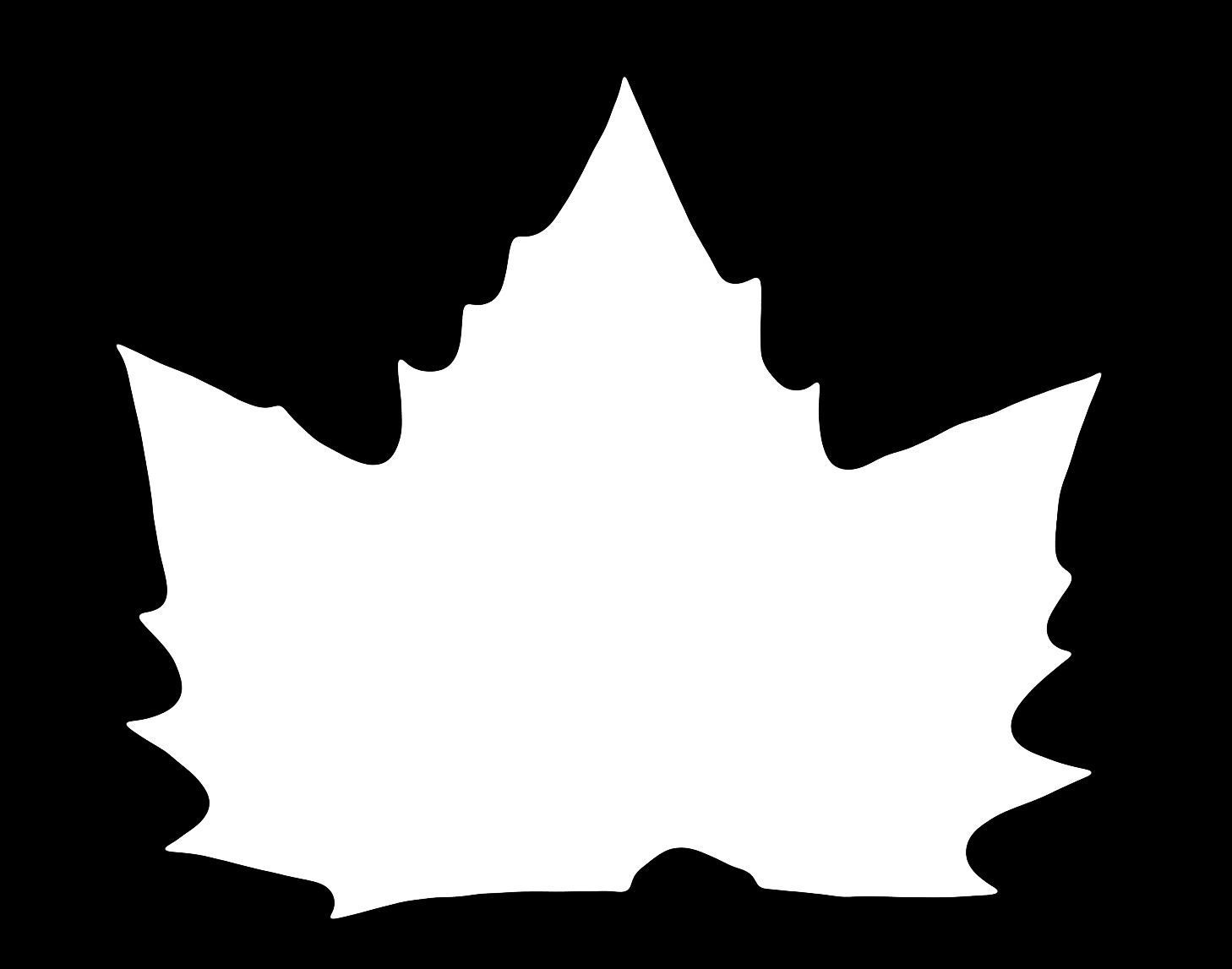 Photorealistic Leaves - Volume 1 3D model_9