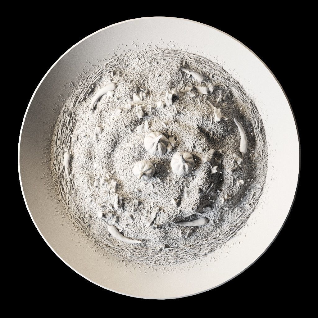 Uzbek pilaf 3D model_5